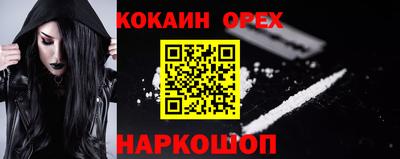 прущие грибы Будённовск
